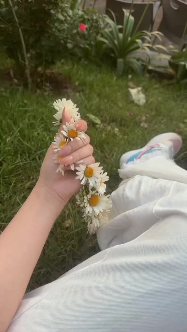 @🄼🄴🄷🄰🄺🅂🄷🄴🄸🄺🄷🌹🐺