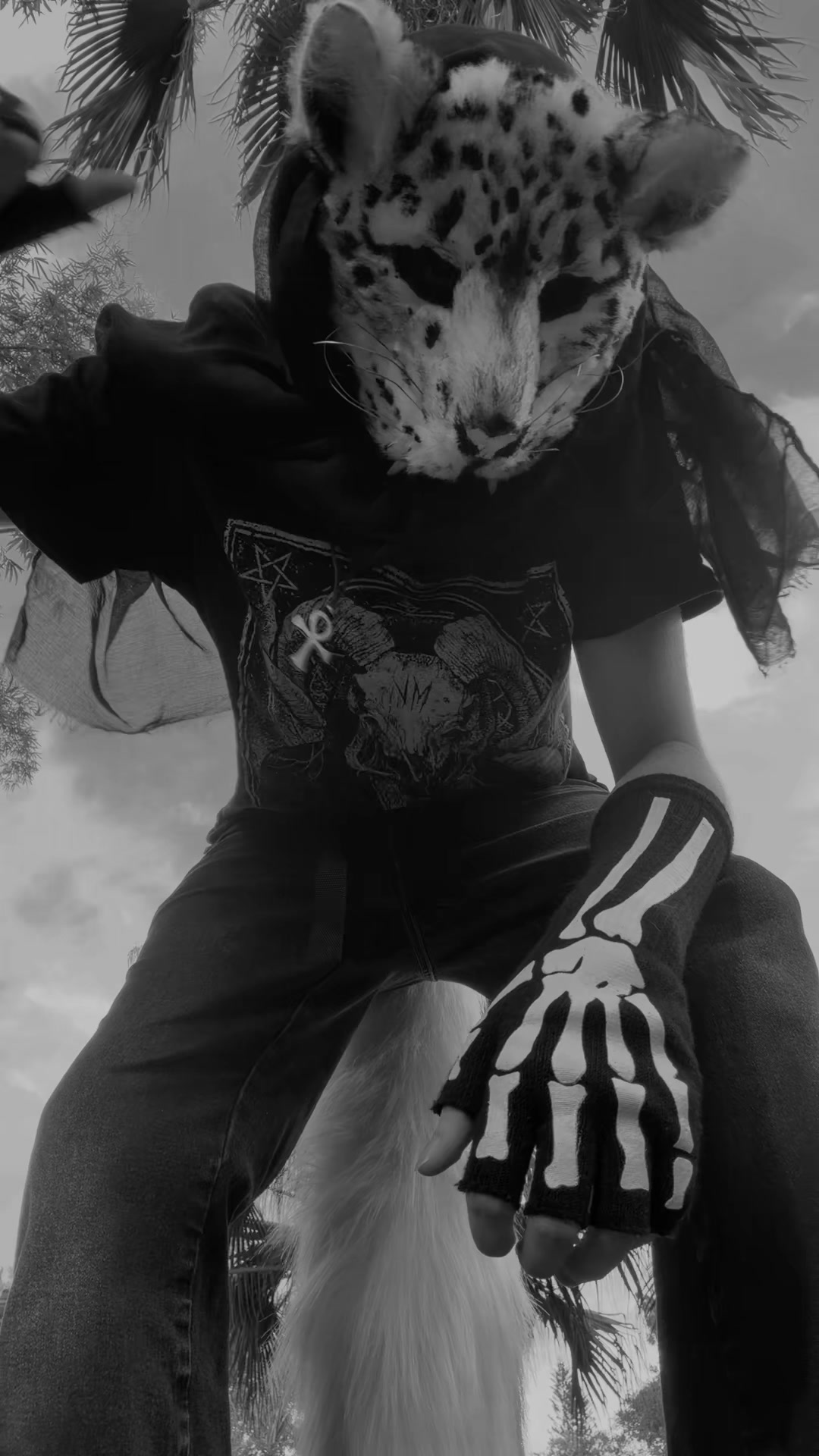 @✦ ⌇Vincent!𓃦