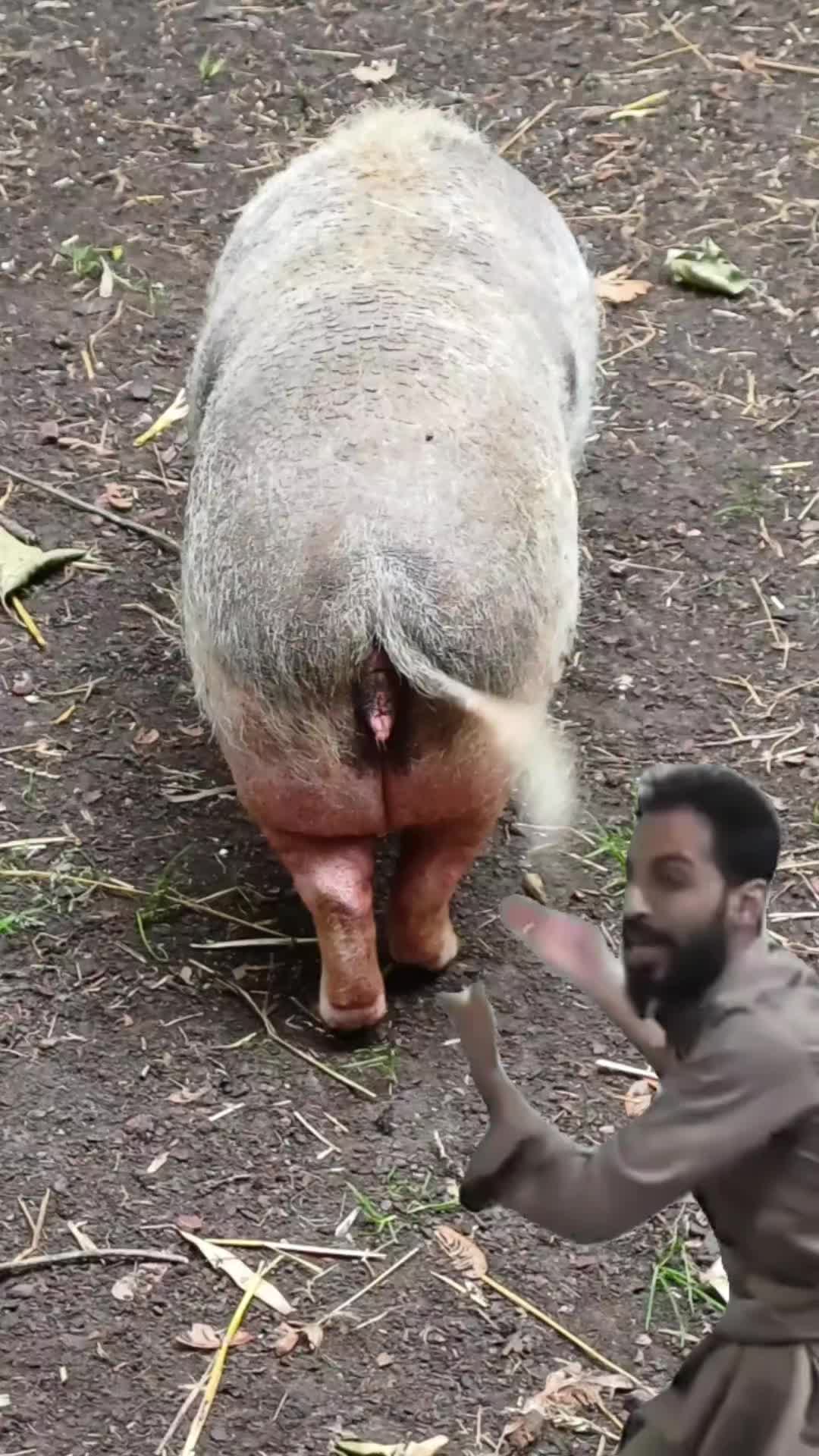 @Grozorteille