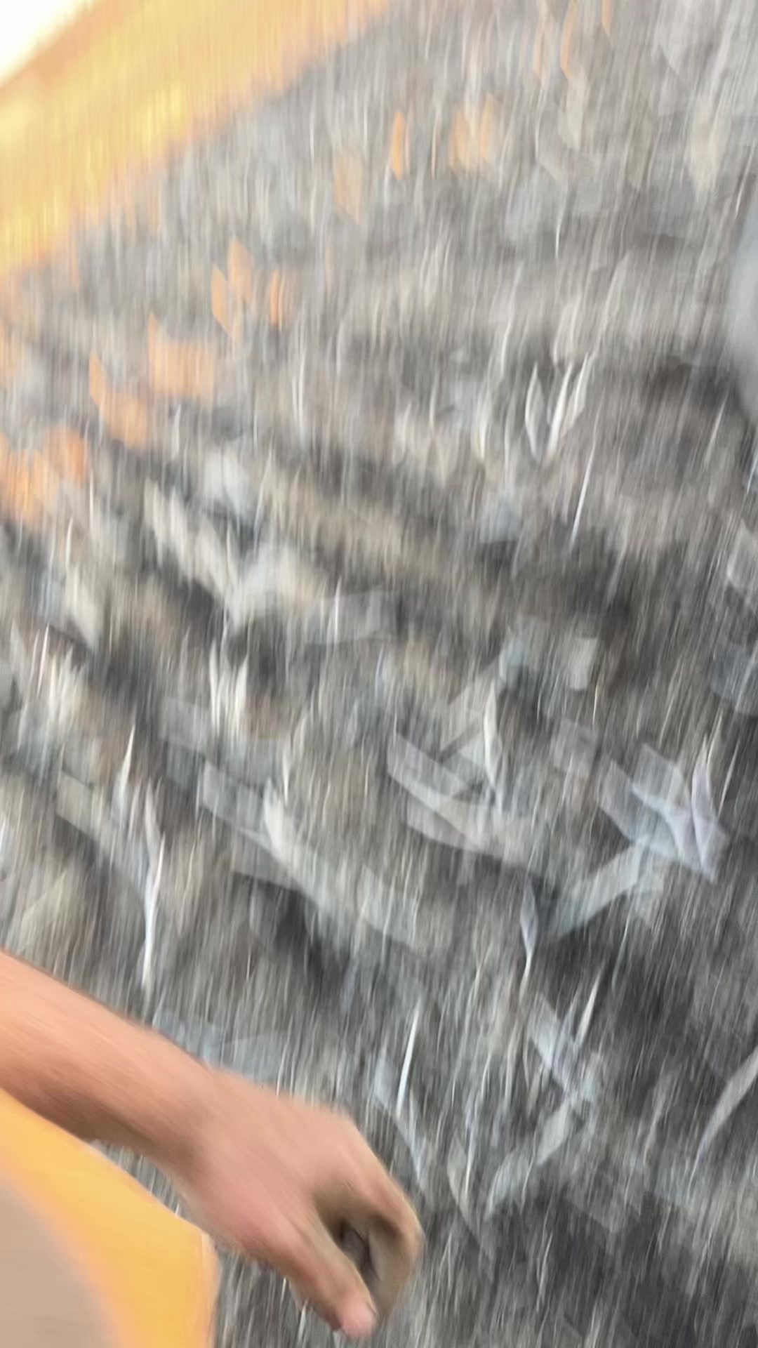 @bf48farmer