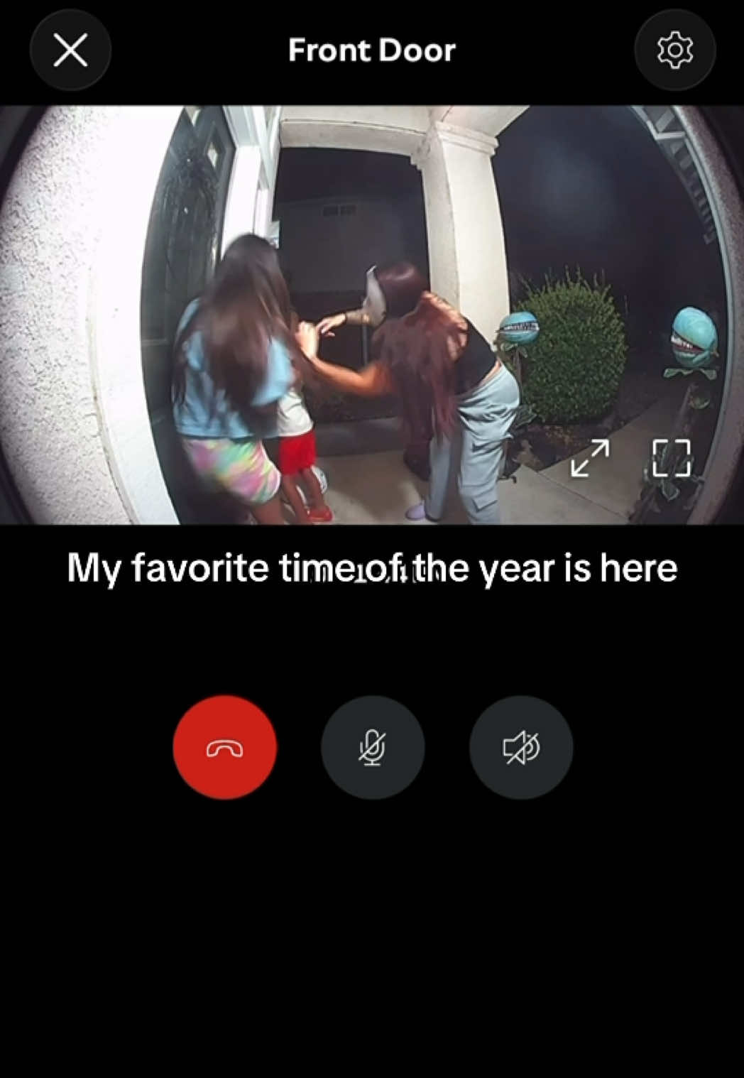 @LisetteRenee
