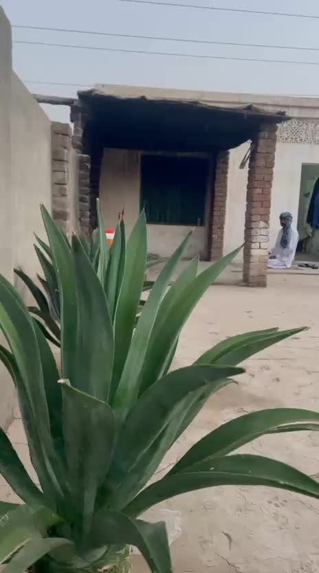 @judwaa vlog 5