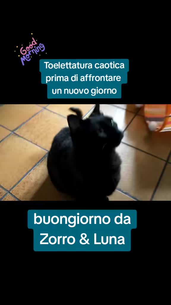 @CMAR61