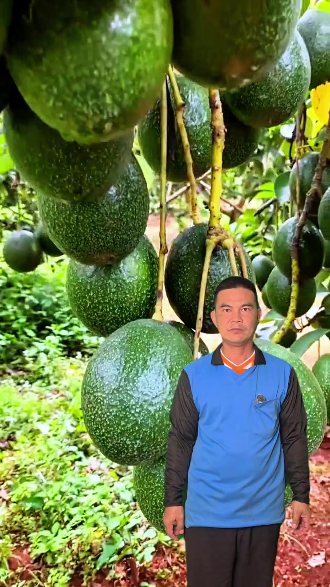 @Konloy