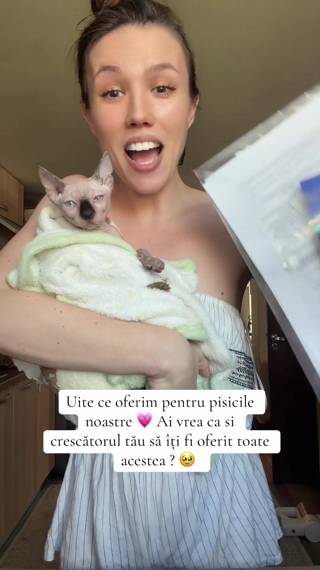 @Diana Ciortan Sphynx Romania