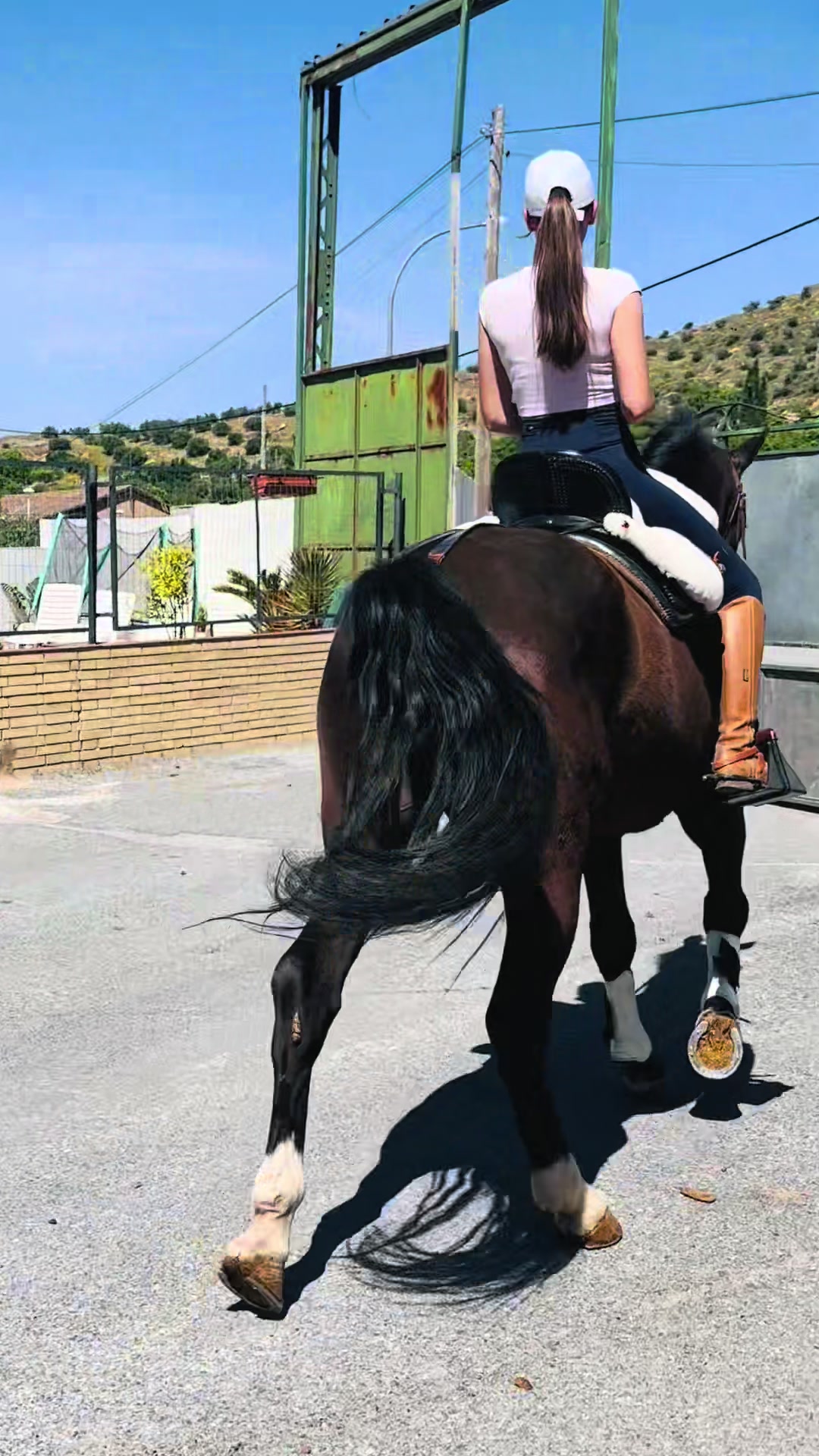 @Sandra Molina🐎🇪🇸