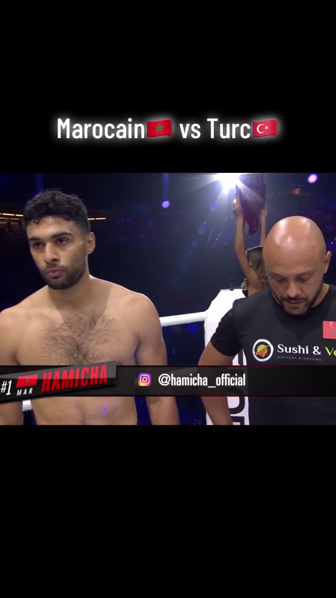 @Mocrofighters