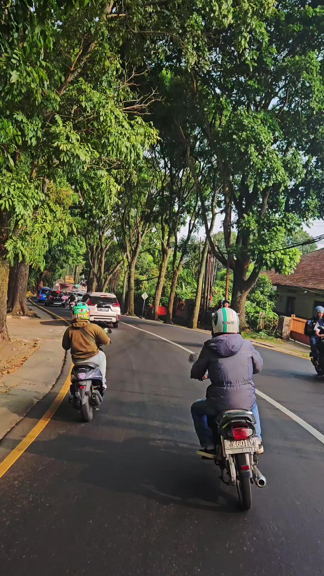 @street.bdgstory