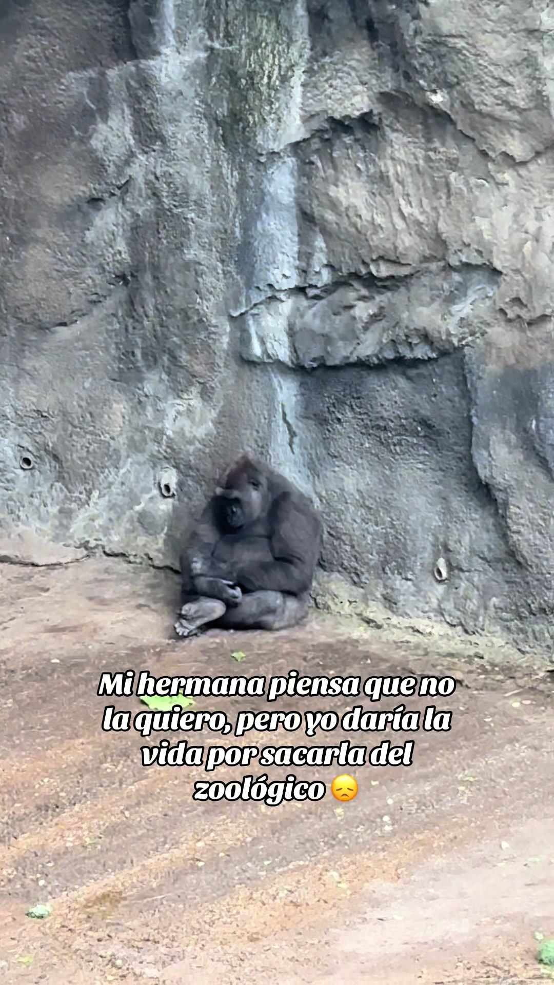 @Miguel de pa&uacute;l