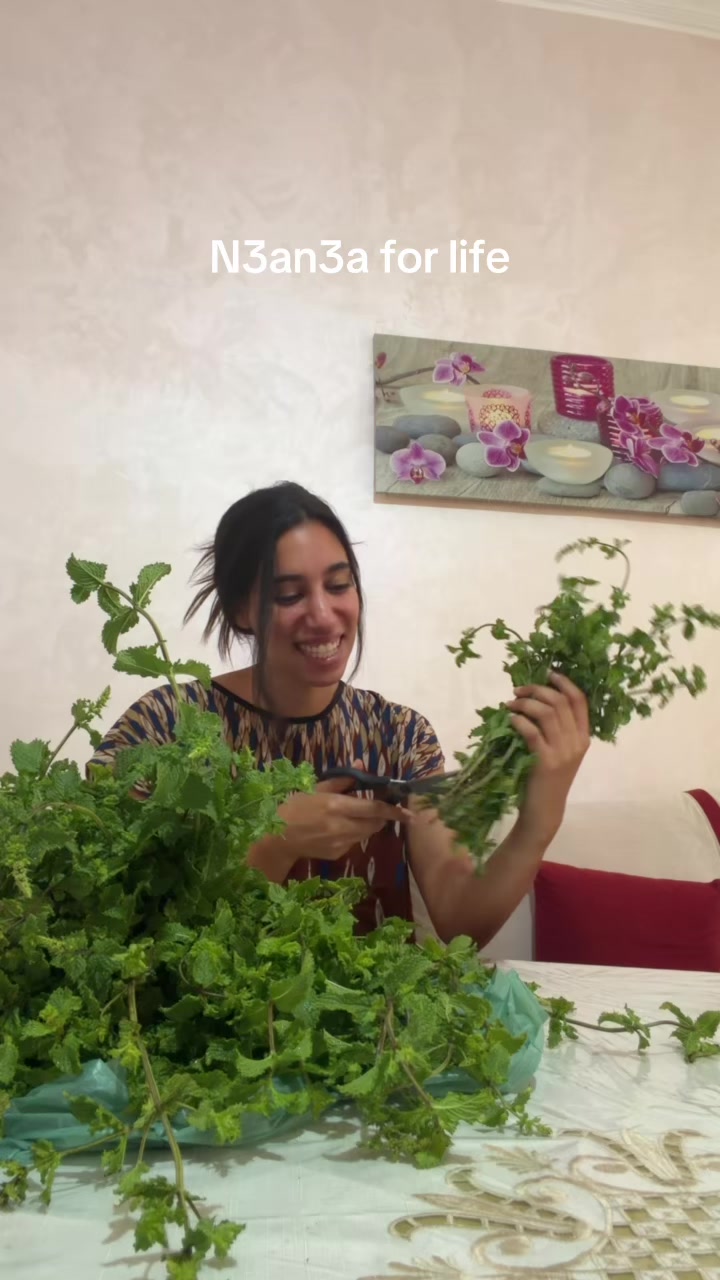 @Amal | bentzaio🇲🇦