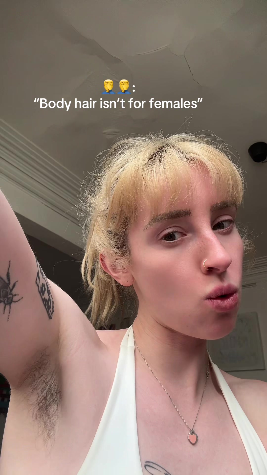 @meow