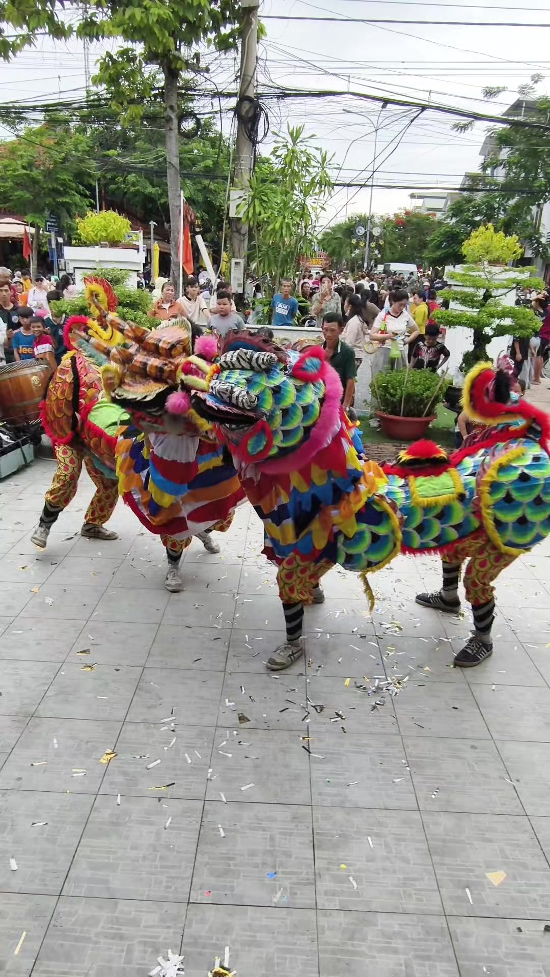 @Múa Lân Việt Nam 🇻🇳