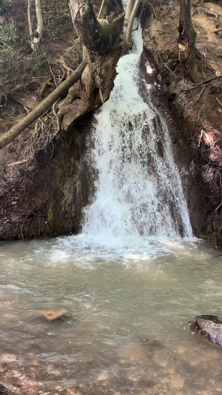 @Bayramlı