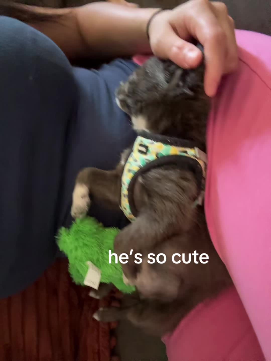 @Dan💞