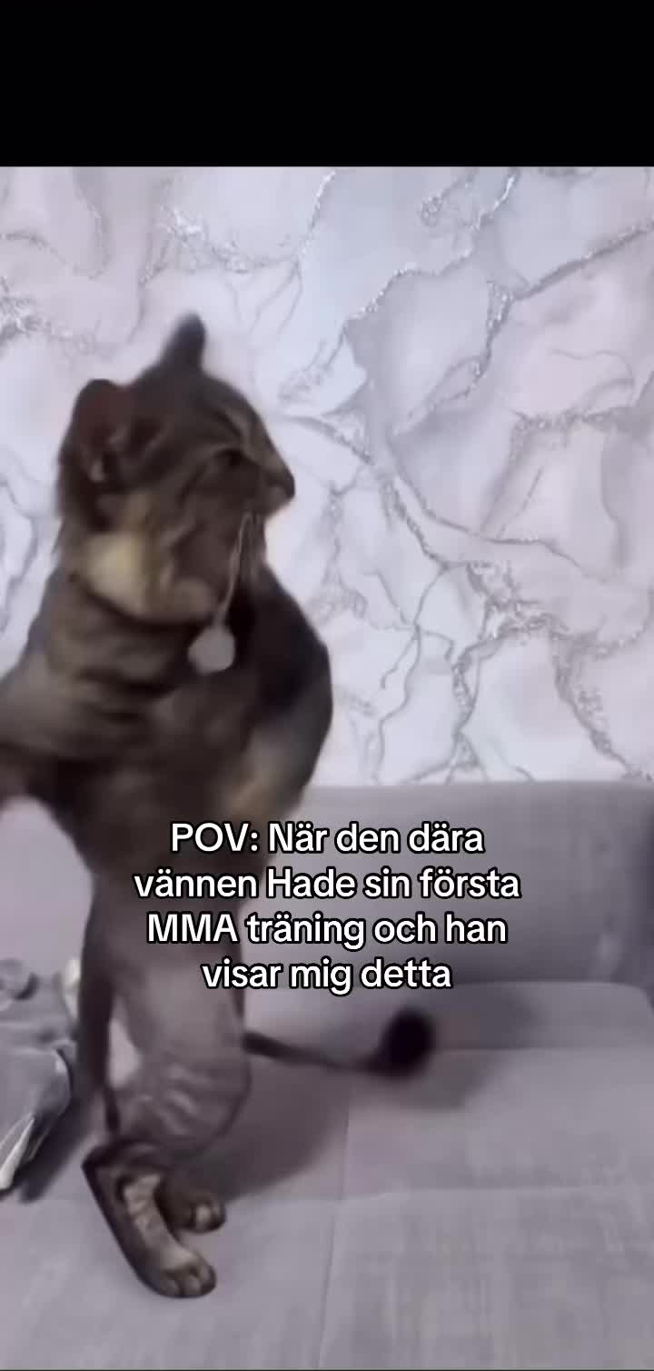 @Frullebulle