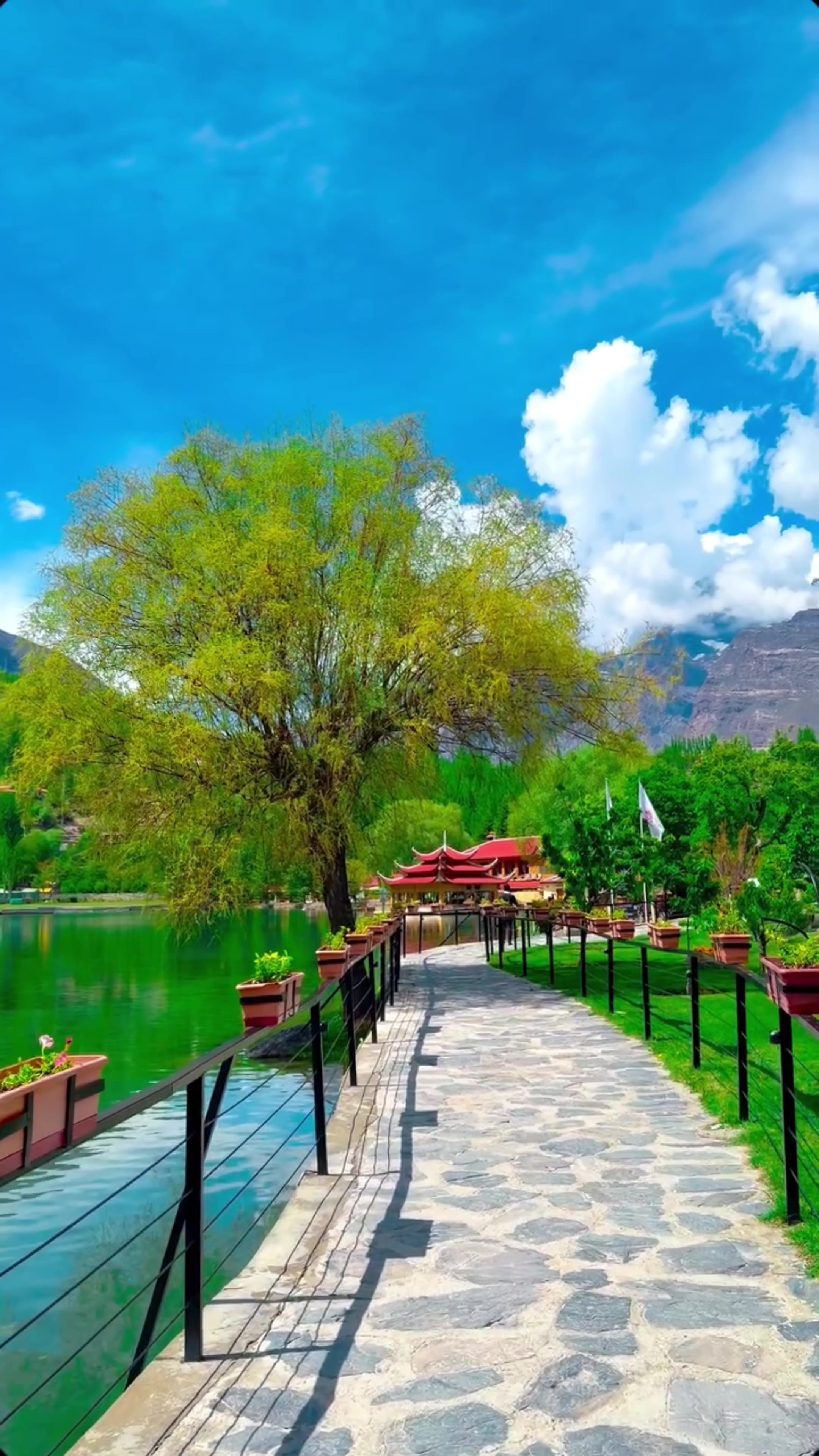 @World 🌍 beauty