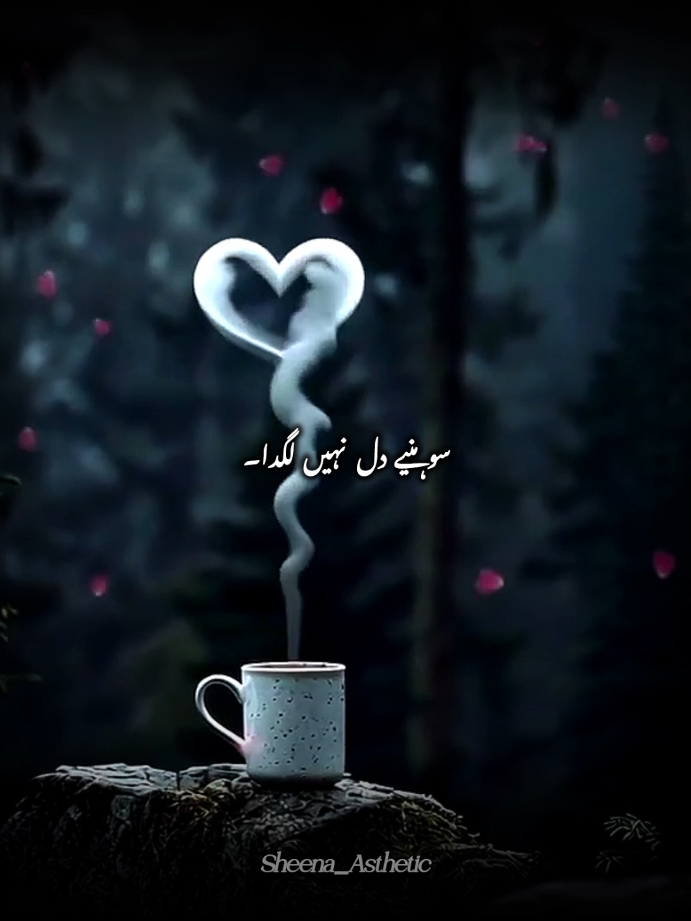 @💞𝓘𝓽𝔁.𝓒𝓪𝓽𝓸💞