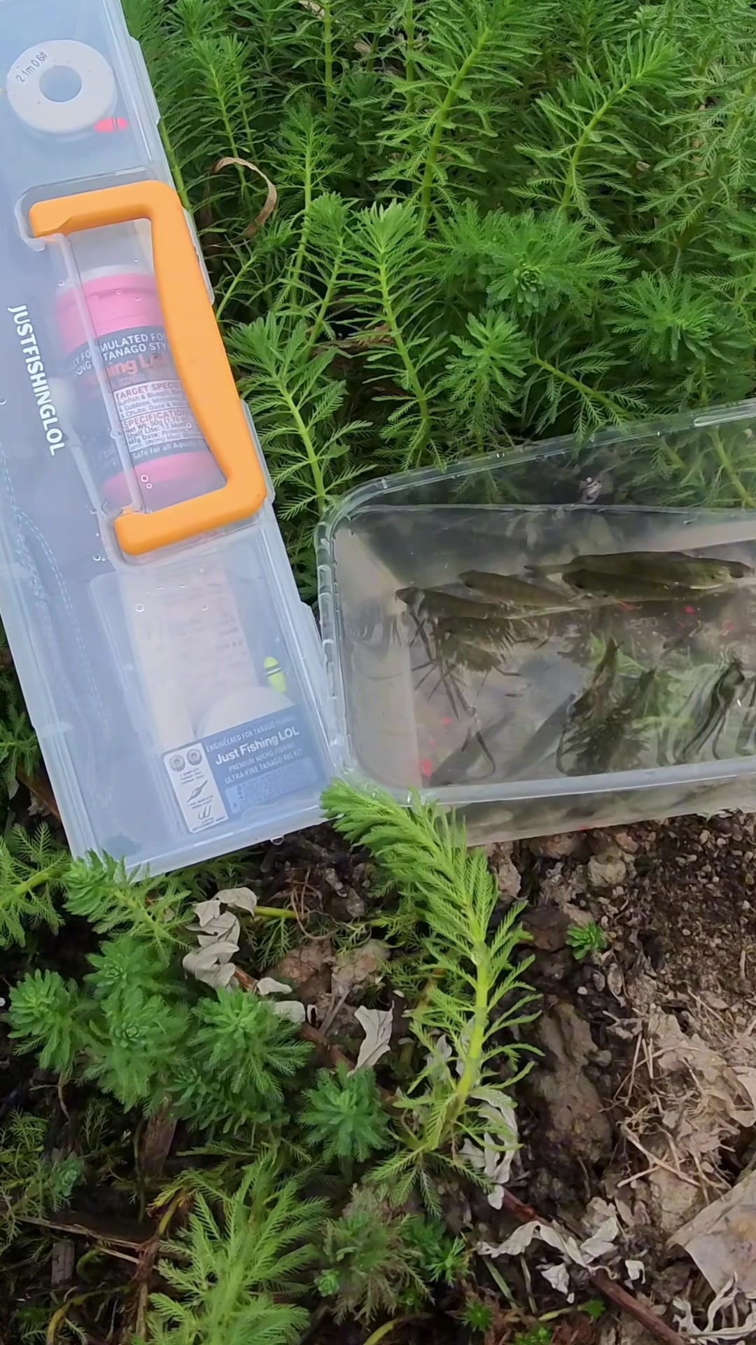 @JFL|UK Micro Fishing