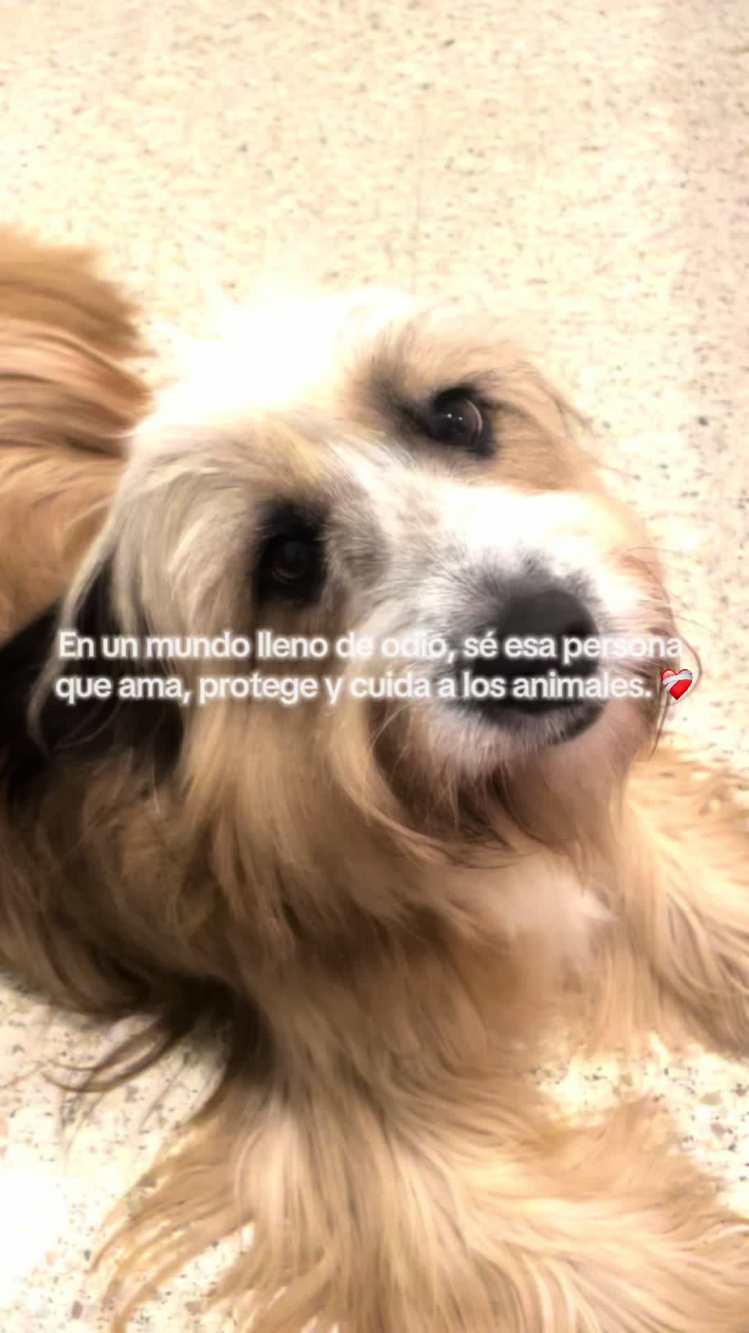 @itscarlaruiz.ugc