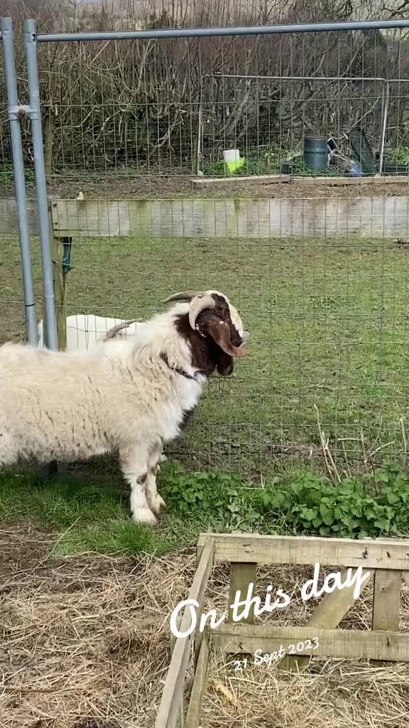 @Far End Farm