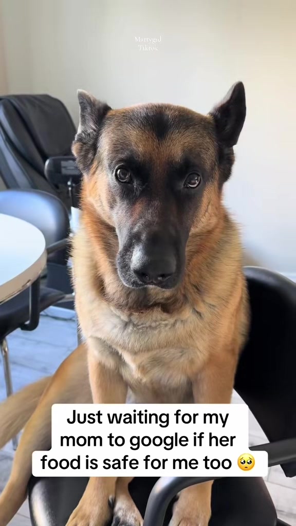 @Martygsd