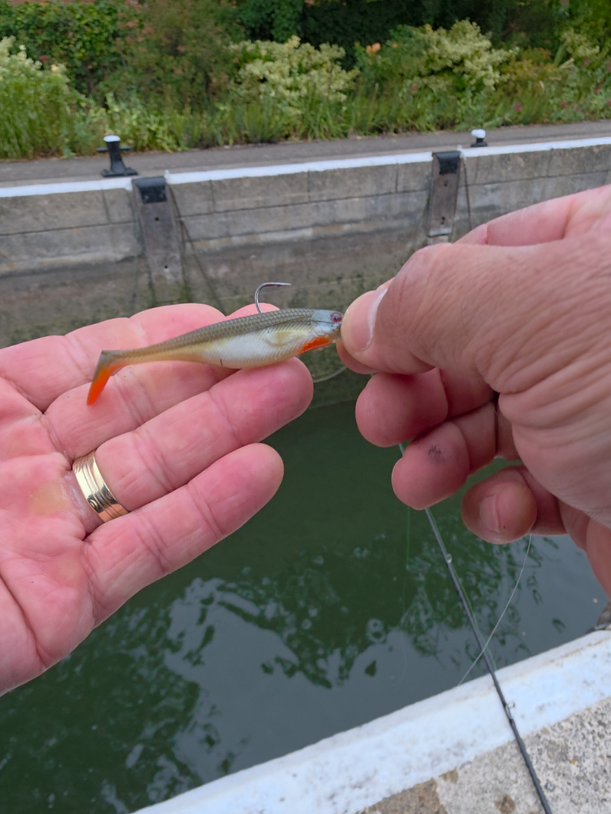 @BF Angler
