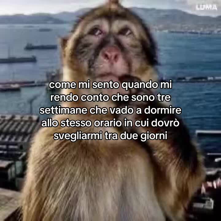 @25