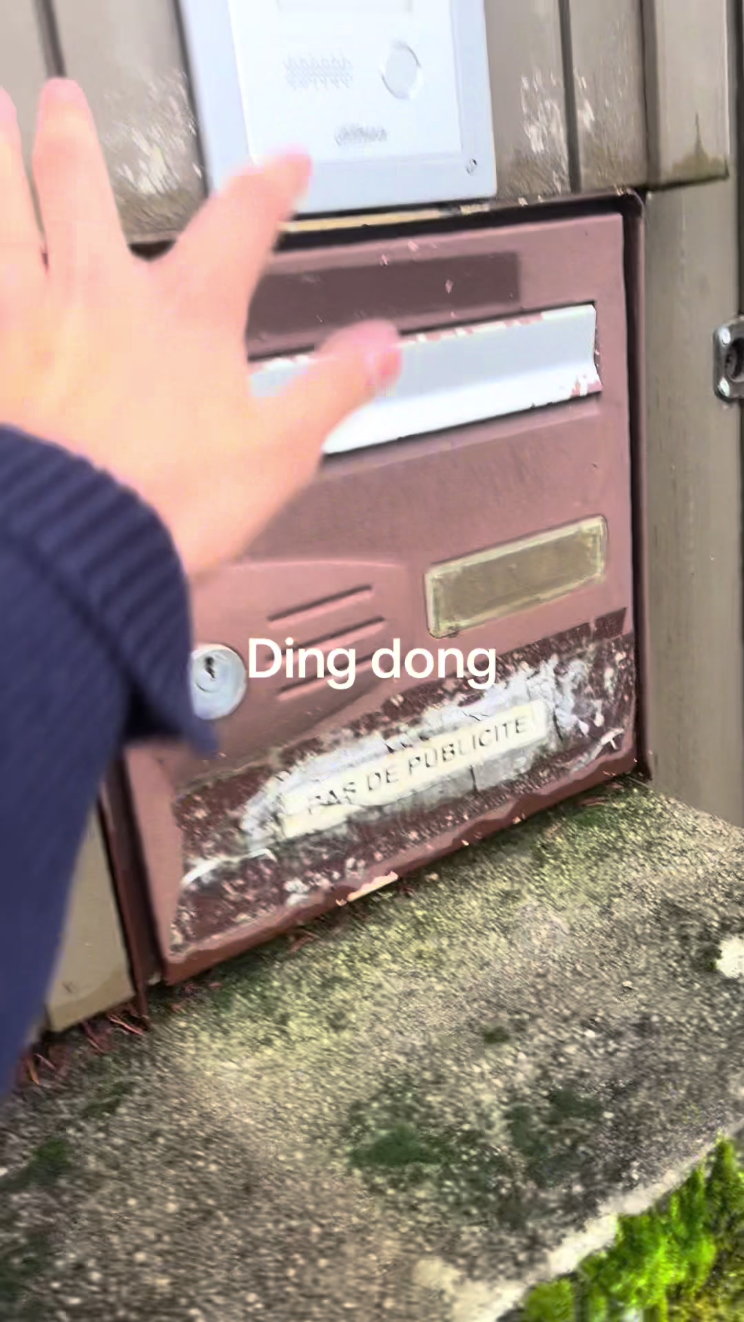@𝐕’❀