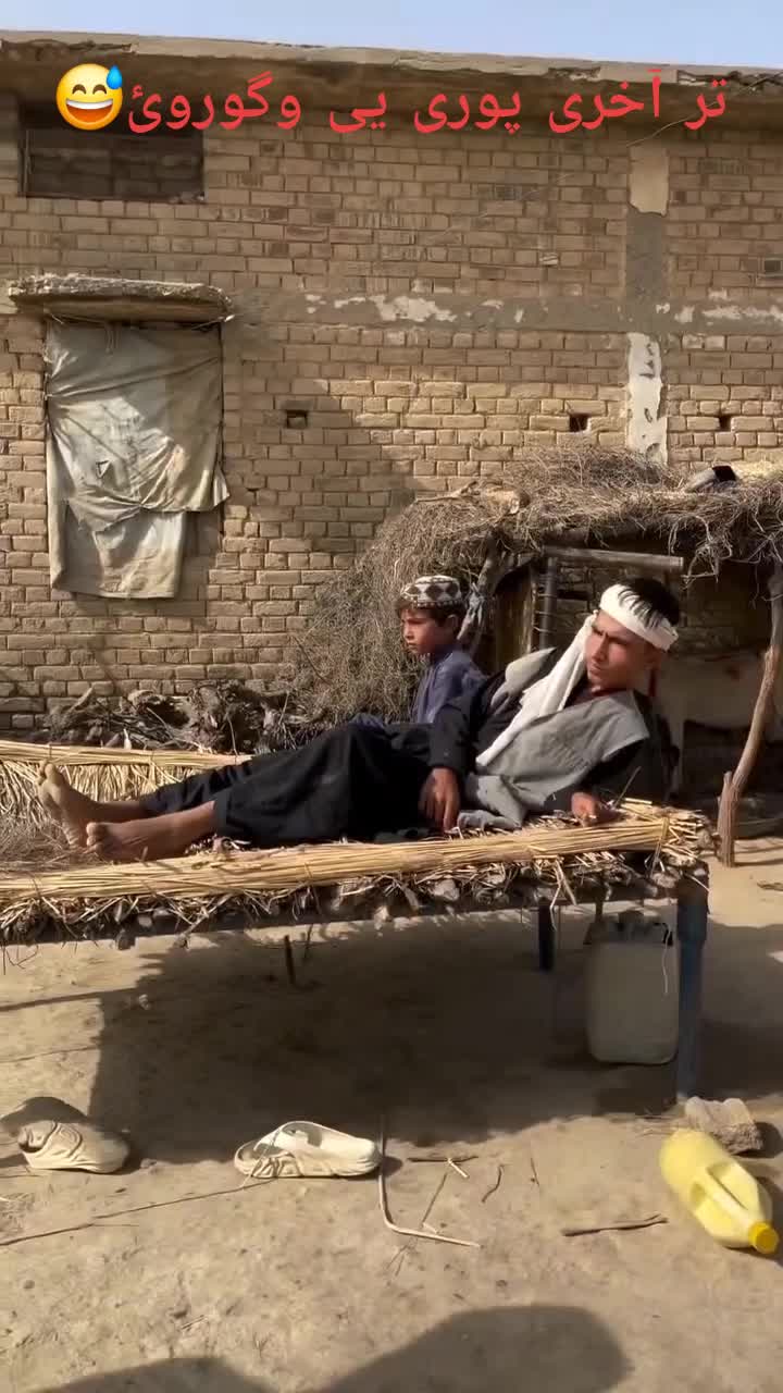 @ZK funny