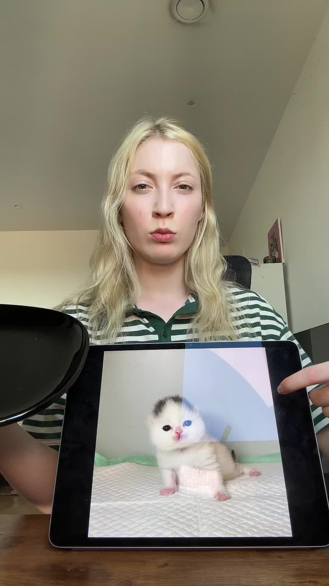 @Сильвинит живет