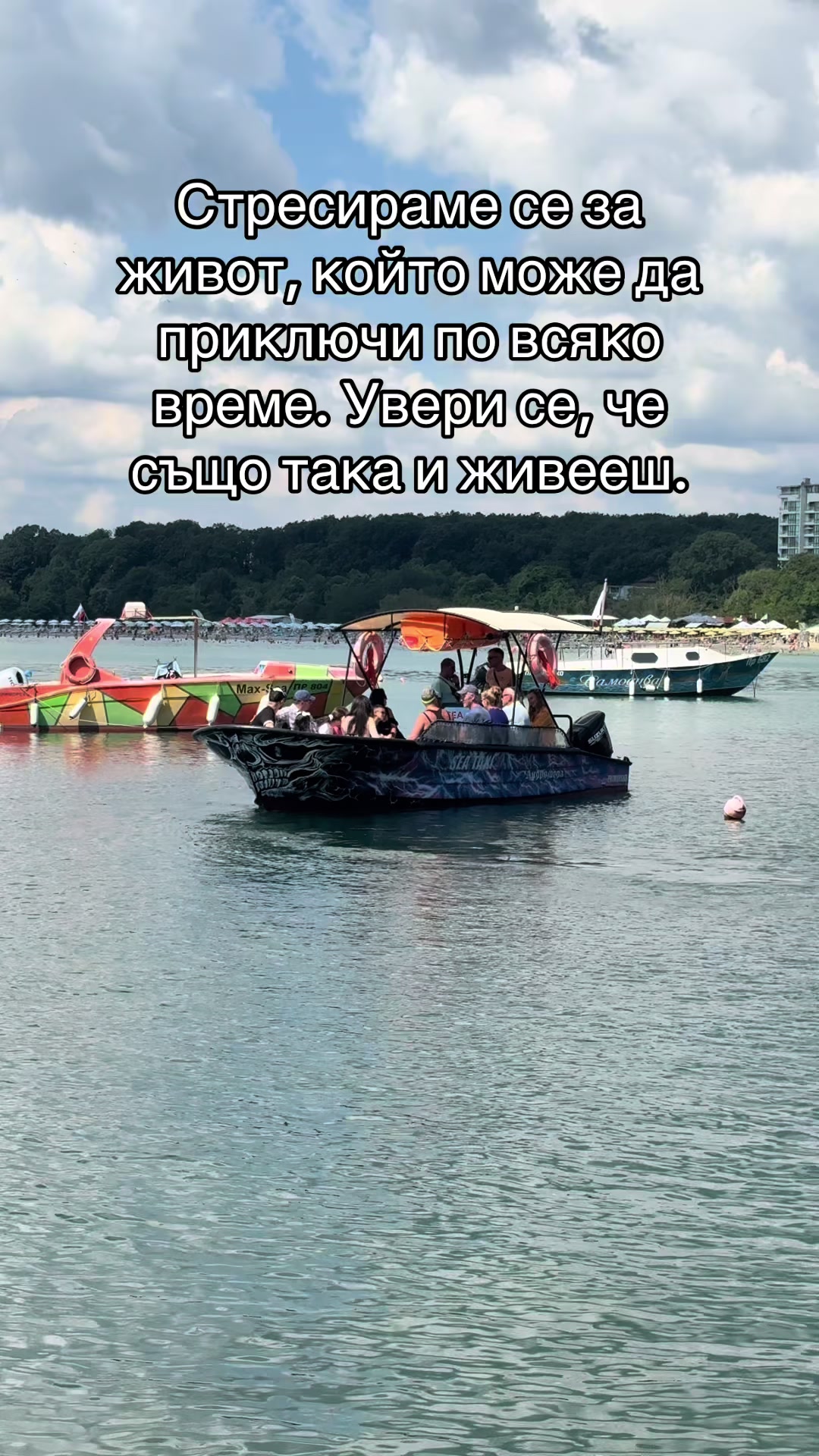 @ivelinakishev
