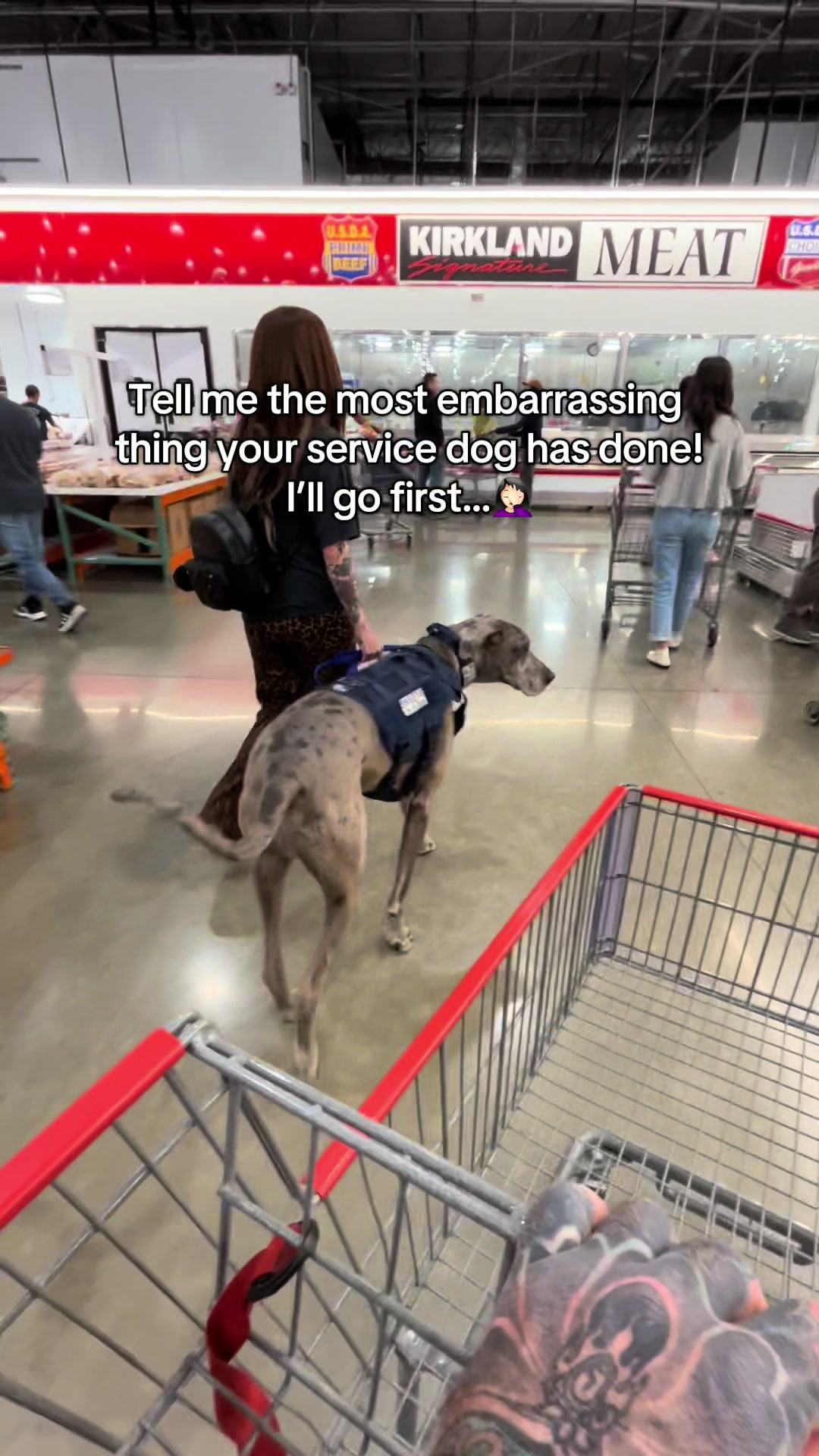 @lex 🐺⛓️