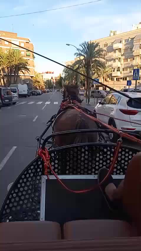 @laferrarilamercedes
