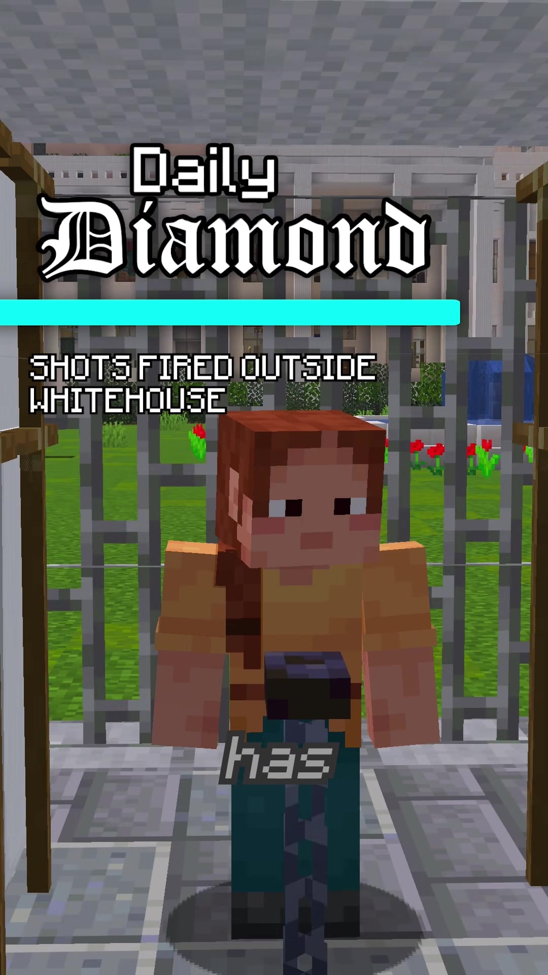 @Daily Diamond