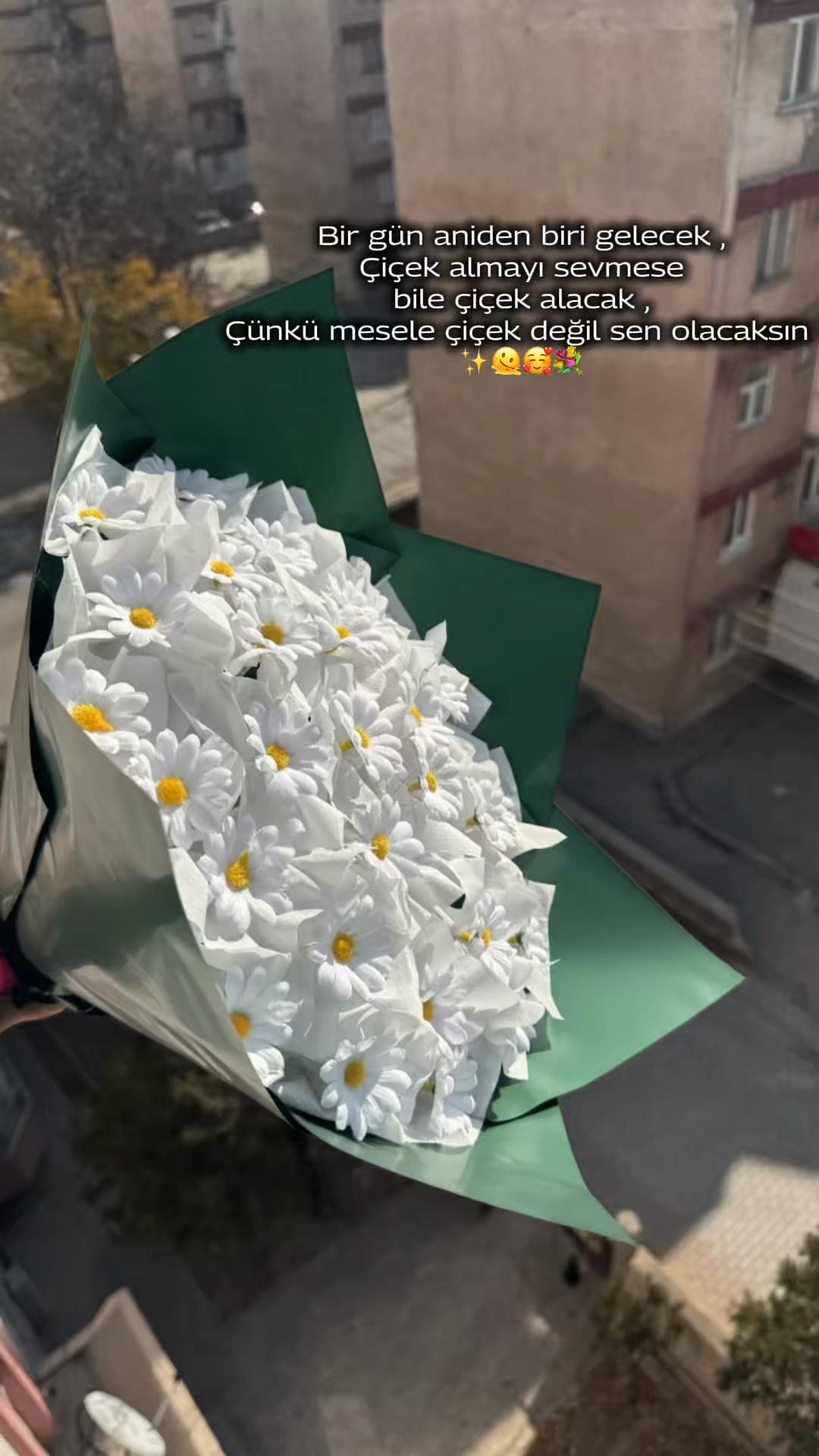 @AYŞE♥️YAHYA