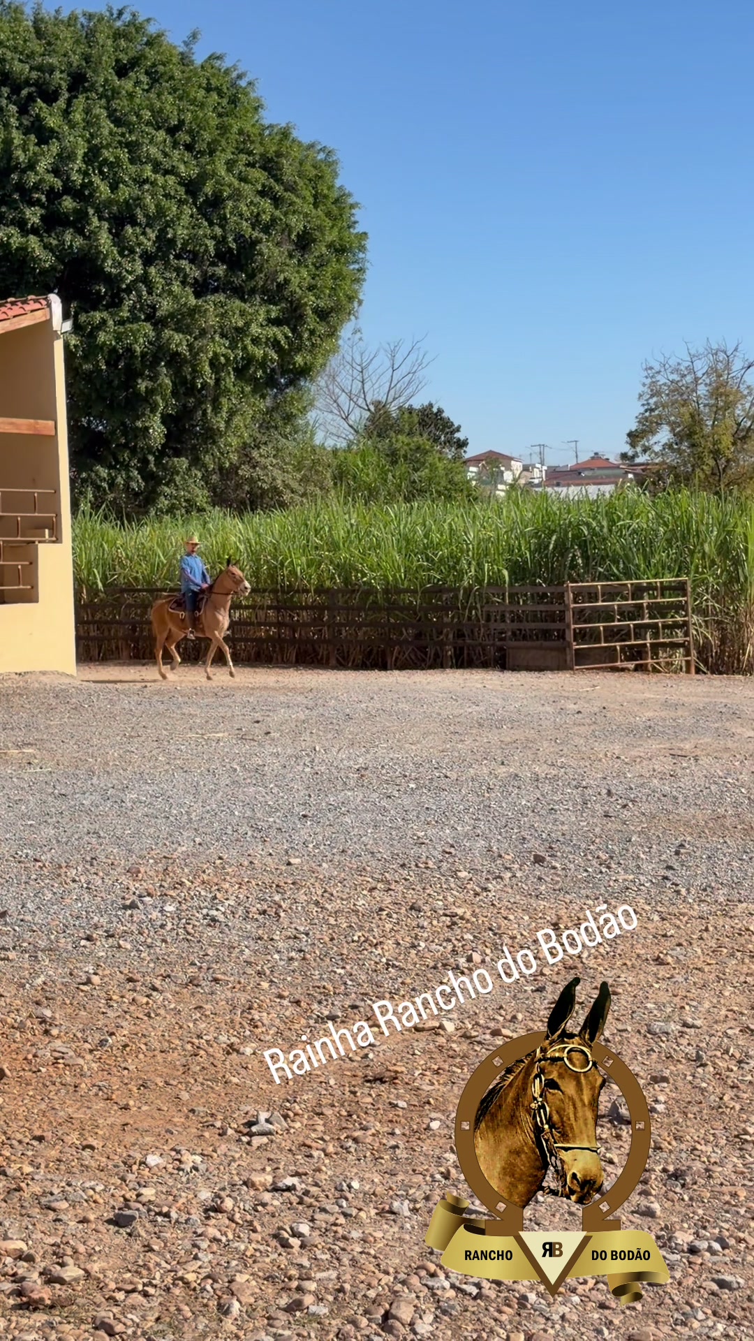 @Rancho do Bodão