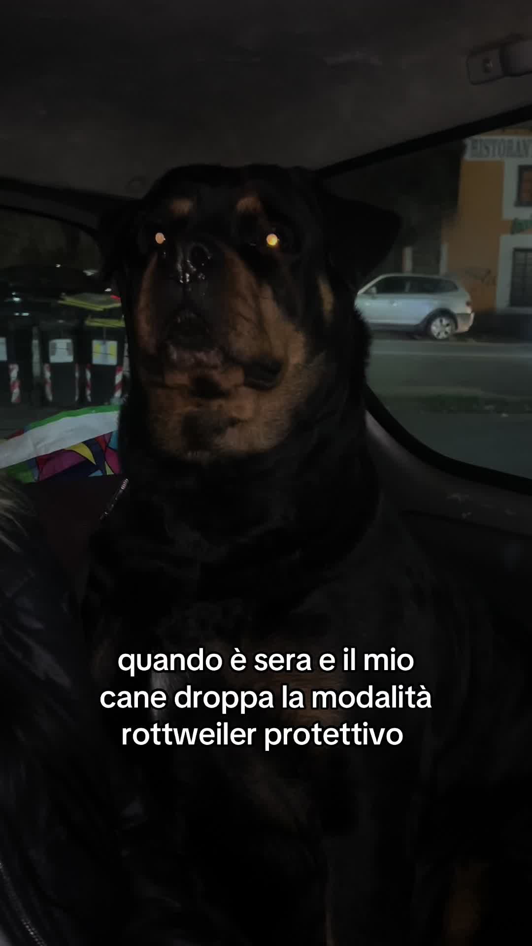 @Saraaa