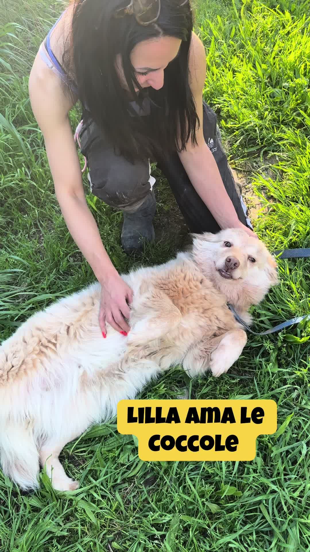 @Solo per amor loro 🐾🐾🐾🐾