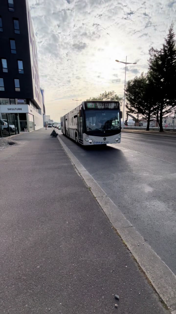 @B.U.S T.R.A.N.S.P.O.R.T 🚌🚎