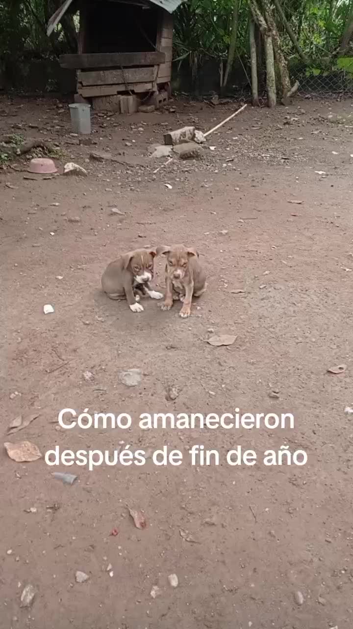 @Aryuri Lopez