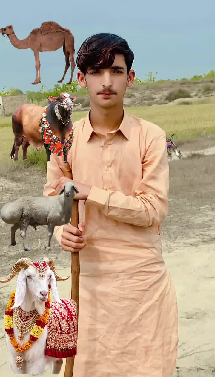@malik Mohsin