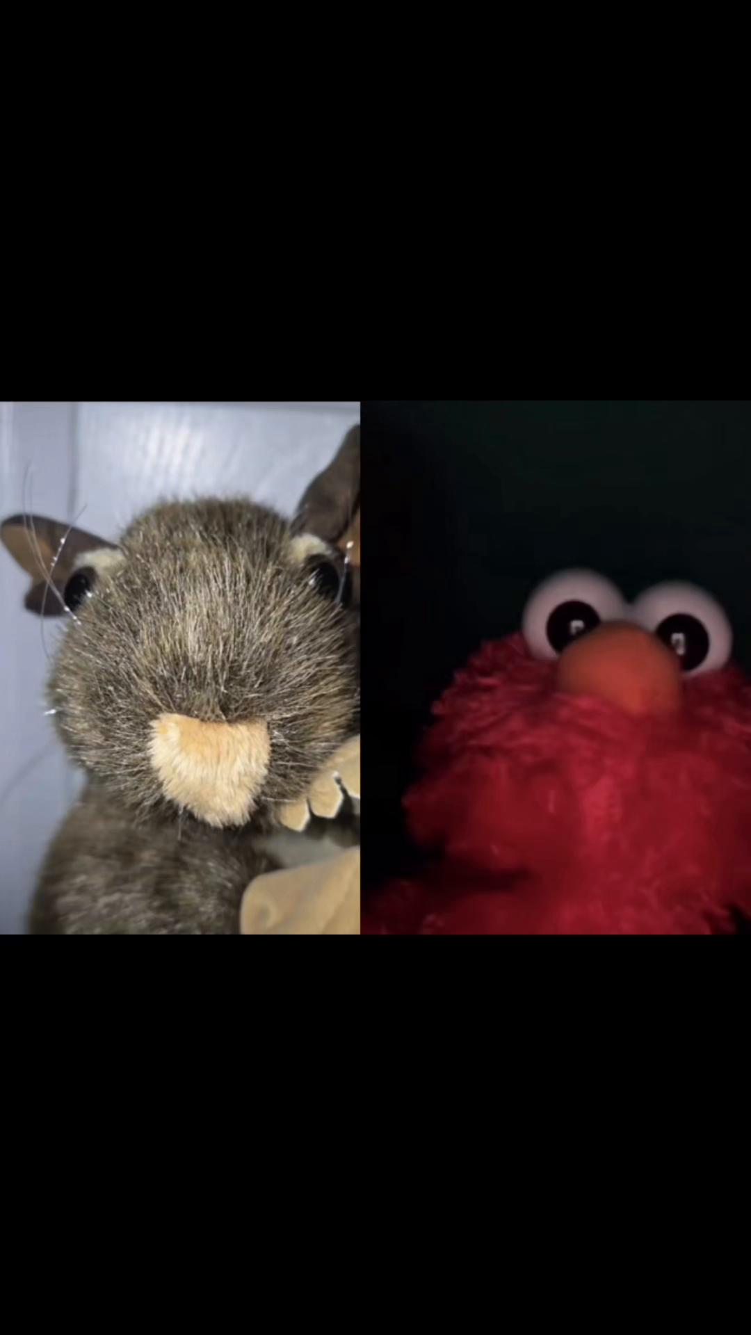 @Elmo