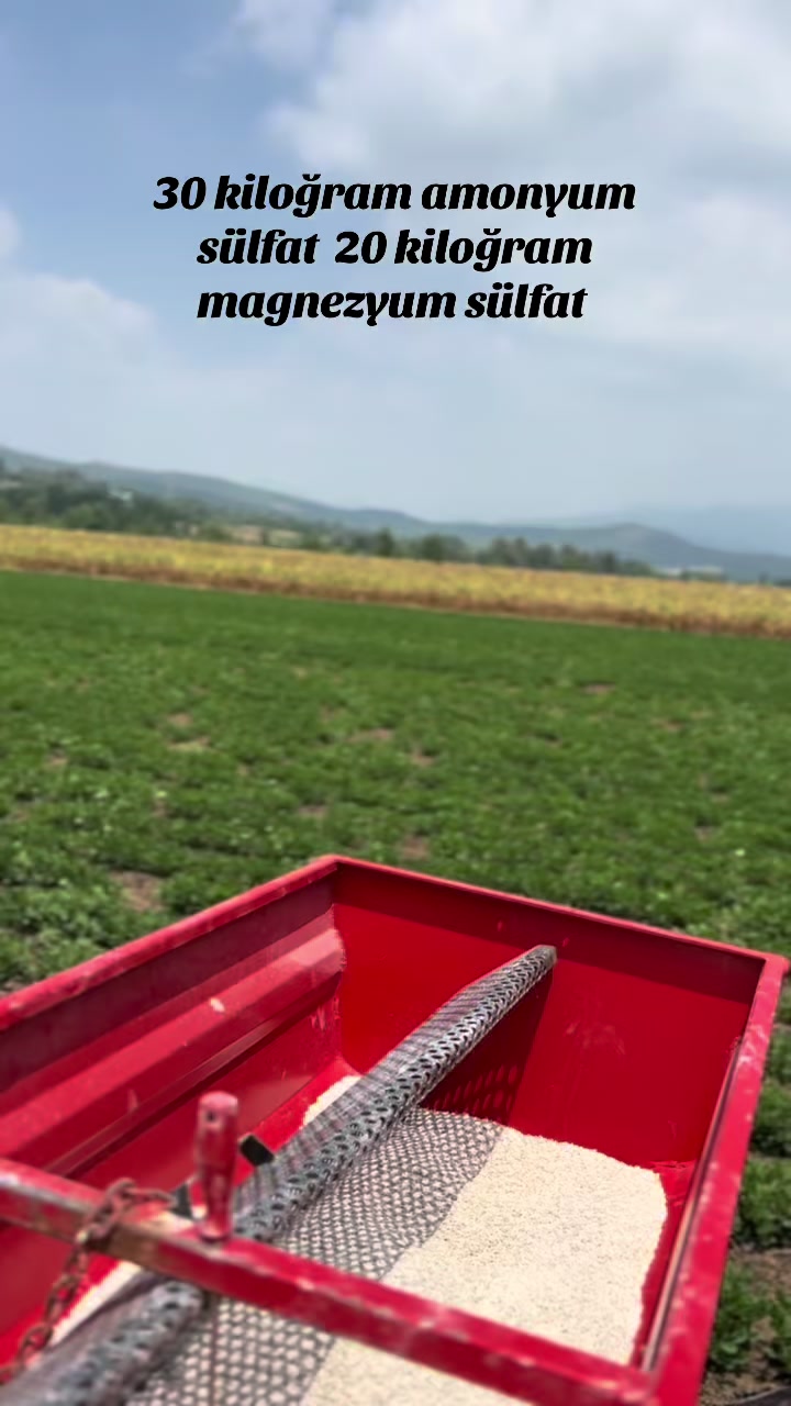 @Ali Osman ÇAL