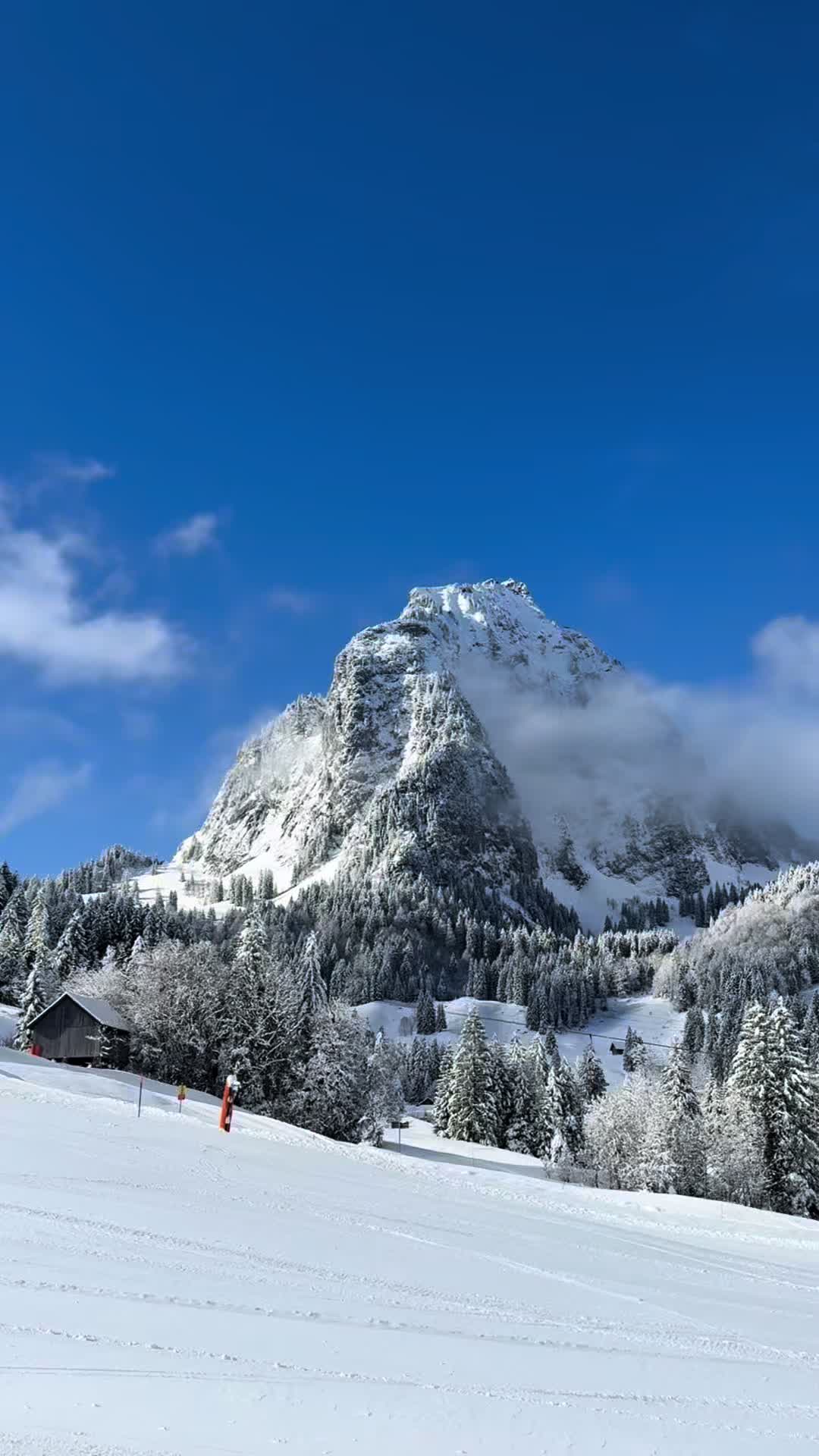 @Brunni-Alpthal