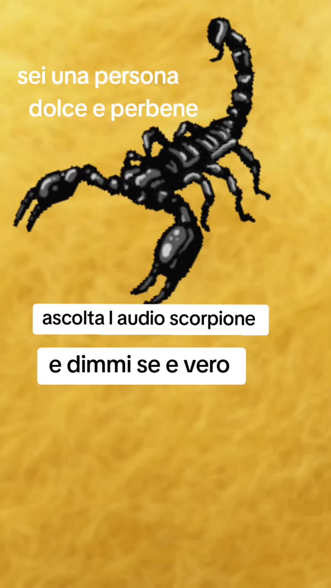 @Vita Maria
