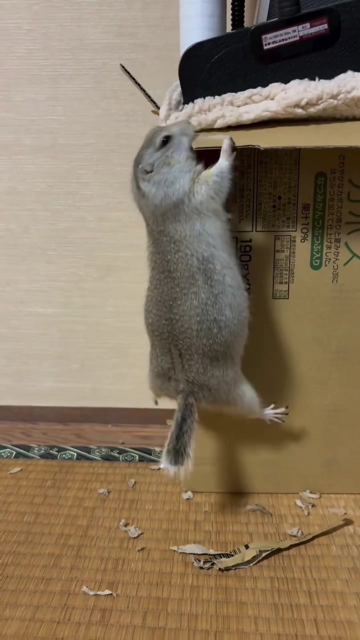 @★