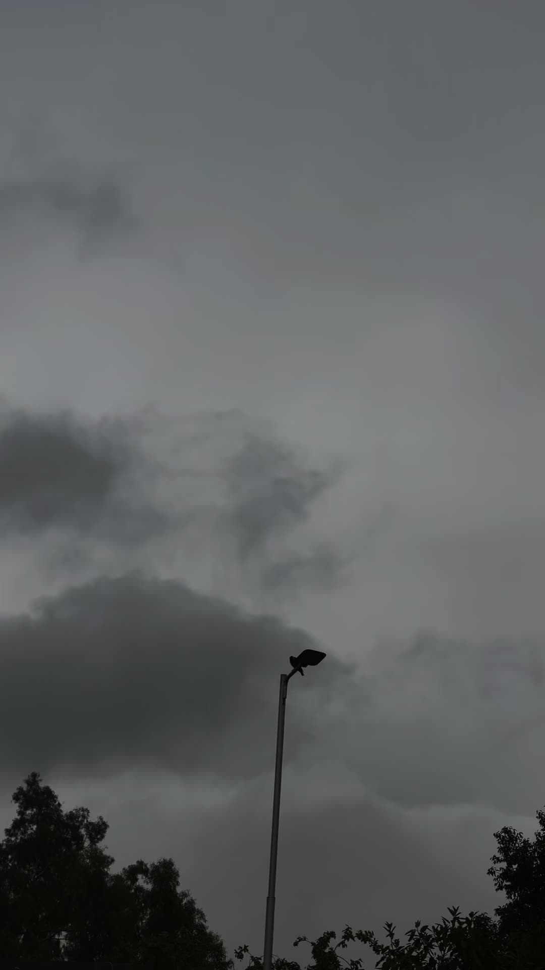 @𝙼𝐻