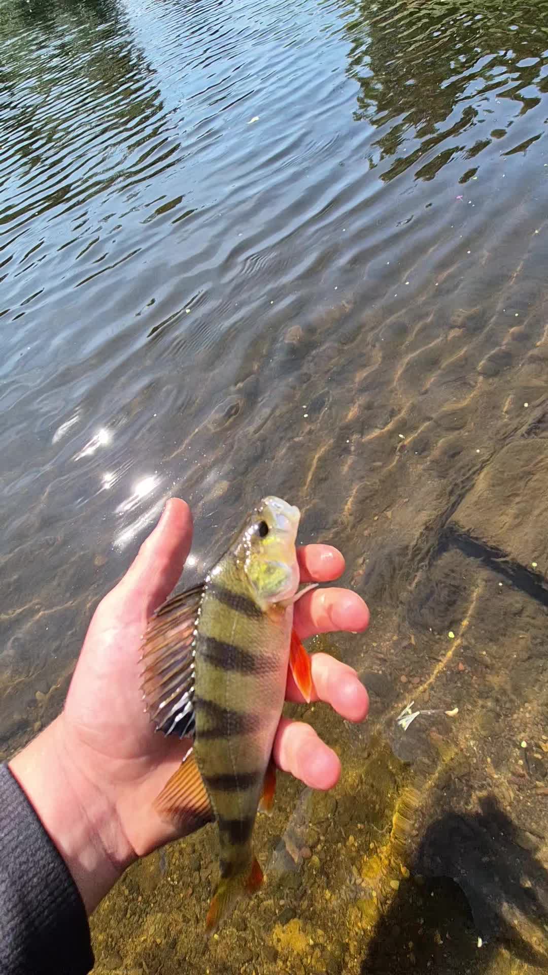 @RB.fishing