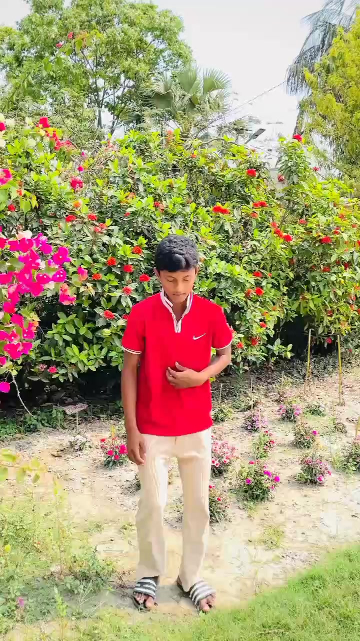 @MK TAMIM