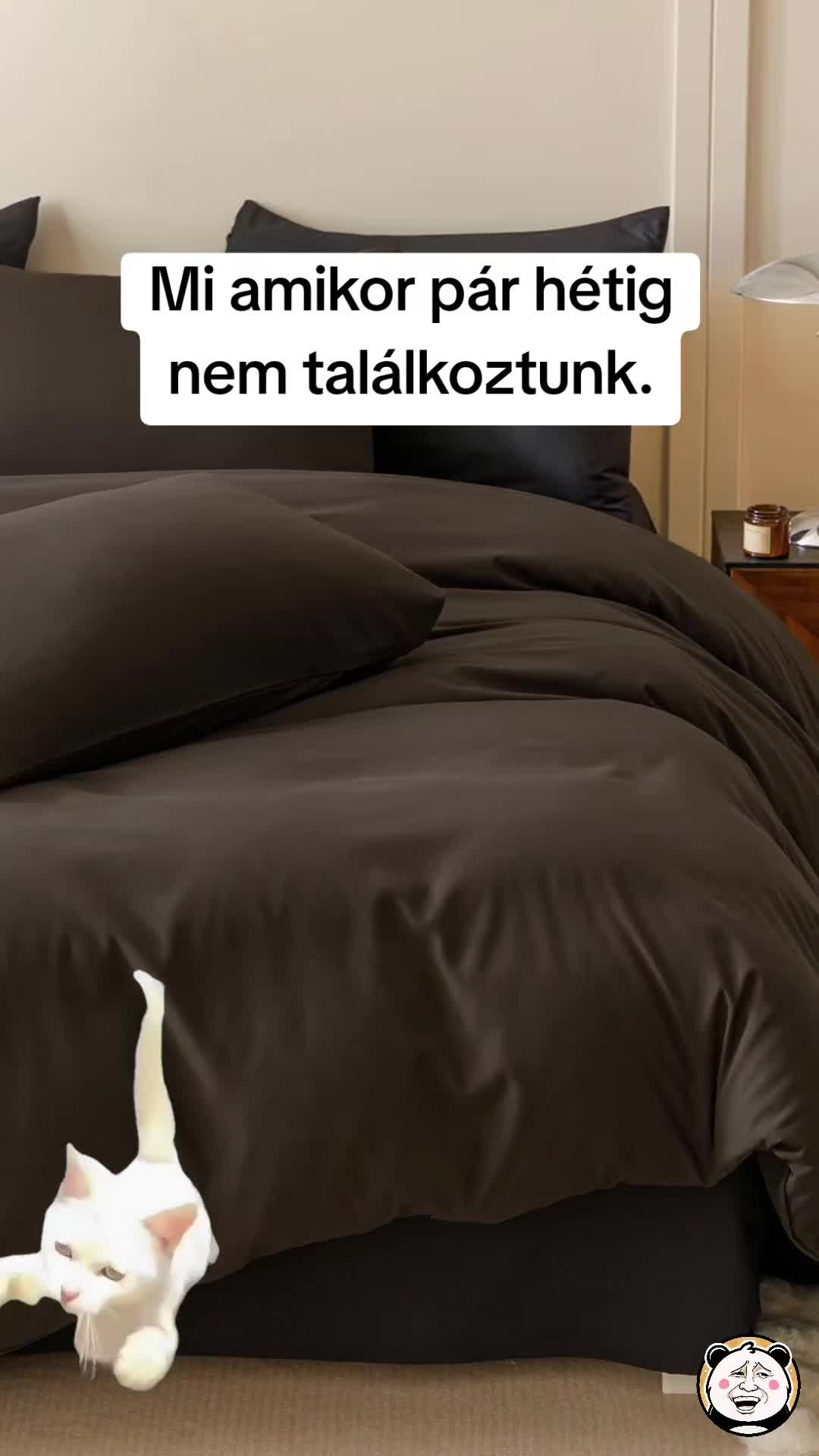 @🐼 Po&eacute;nPanda 🐼